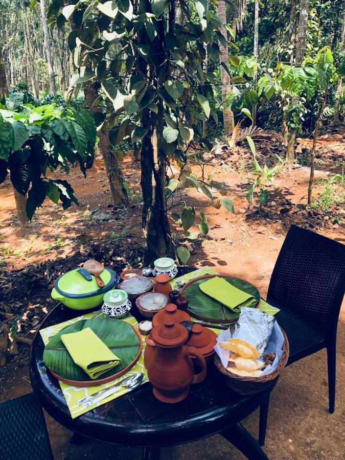 Kerala Wild Stay Kanthalloor Extérieur photo